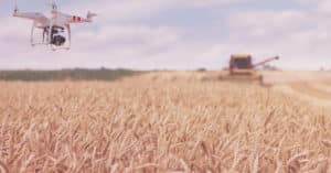 innovación en el sector agroalimentario