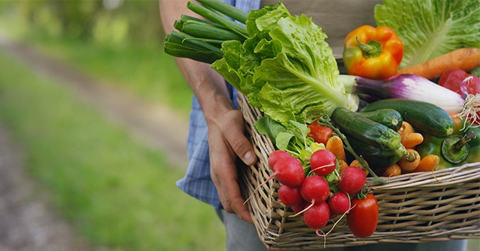 Exportaciones frutas y hortalizas