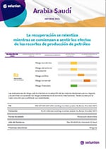 informe-arabiasaudi