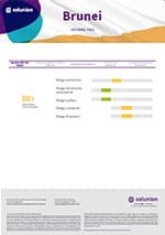 informe-brunei