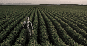 Política Agraria Comunitaria