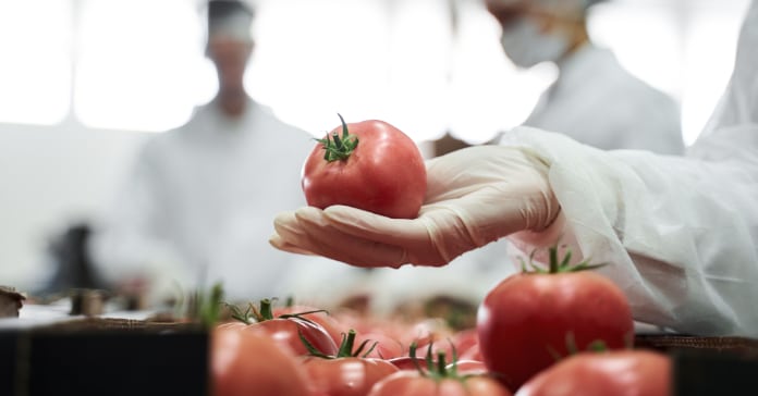 Industria alimentaria. Solunion.