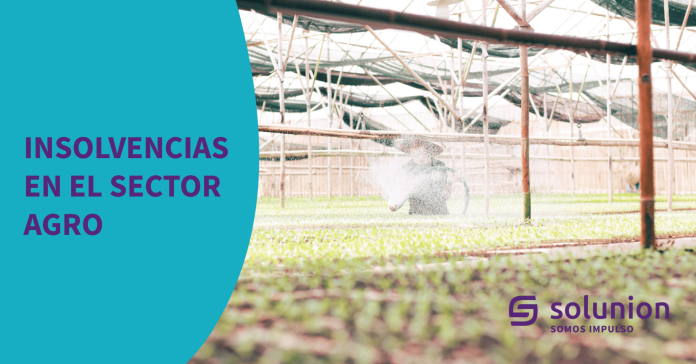Las insolvencias del sector agroalimentario 2021. Solunion