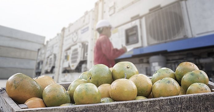 Frutas y hortalizas