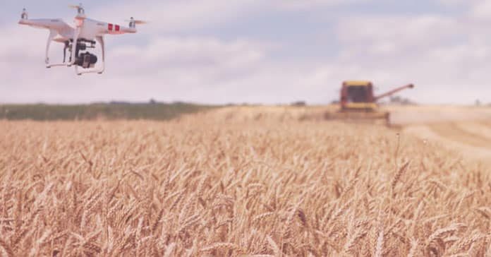 innovación en el sector agroalimentario